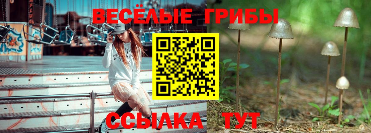 Псилоцибиновые грибы прущие грибы  купить наркоту  Вход с VPN  Кимры  Галлюциногенные грибы мухоморы 