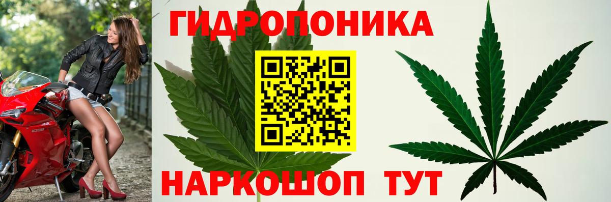 МАРИХУАНА White Widow Кимры